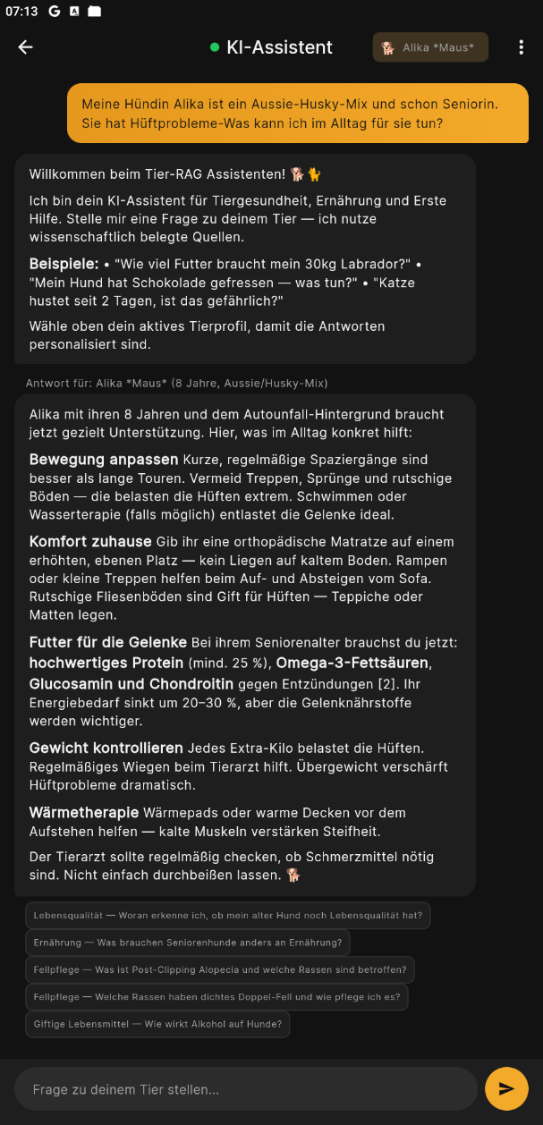 KI-Chat: ruhige, belegte Antwort